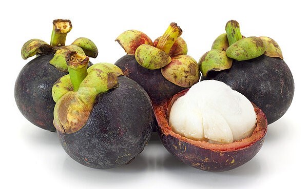 Mangostan1