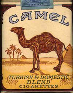 Camel Framsida2
